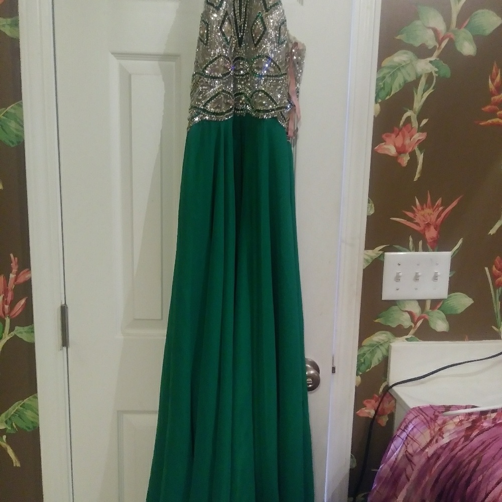 Prom Dress - Picture 6 of 6